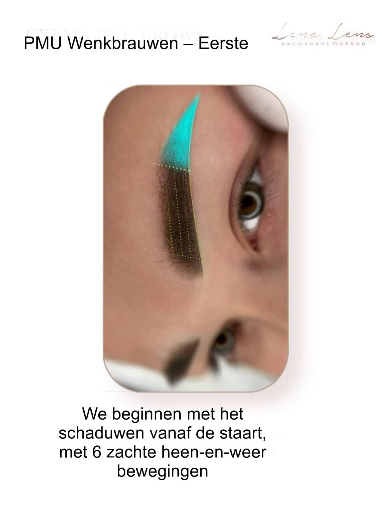 PMU wenkbrauwen